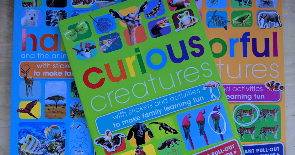 Curious Creatures Activity Book For Children Mama Likes This