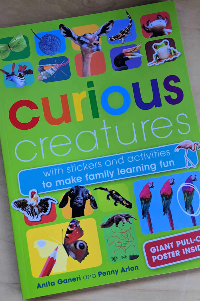 The new Curious Creatures activity book is absolutely beautiful, so your children will have lots of fun as they learn.