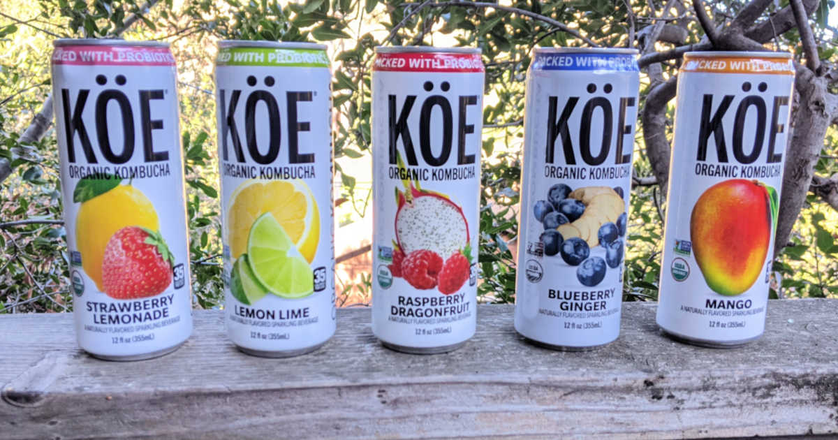 cans of koe kombucha.