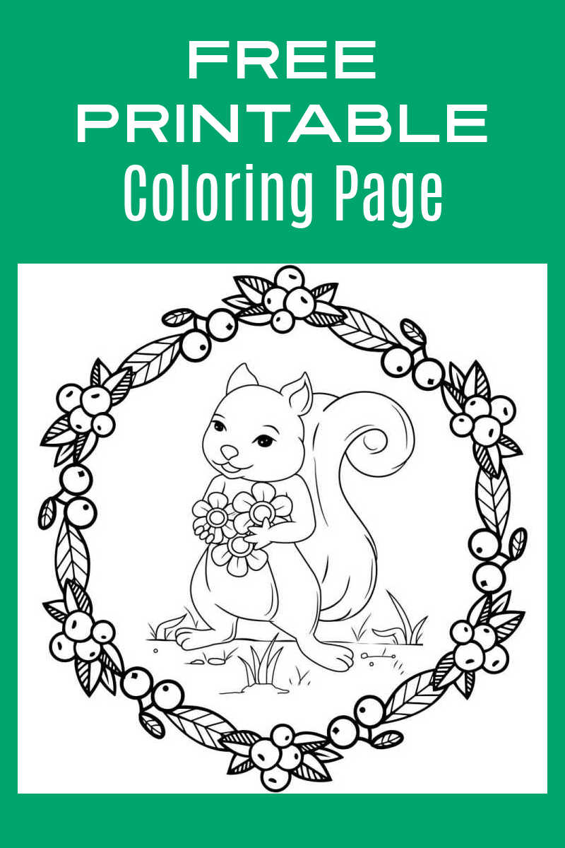 When you download this free printable squirrel holding flowers coloring page, an adult or child can have fun coloring it. 