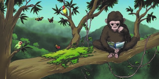 scene from jenny the chimpanzee.