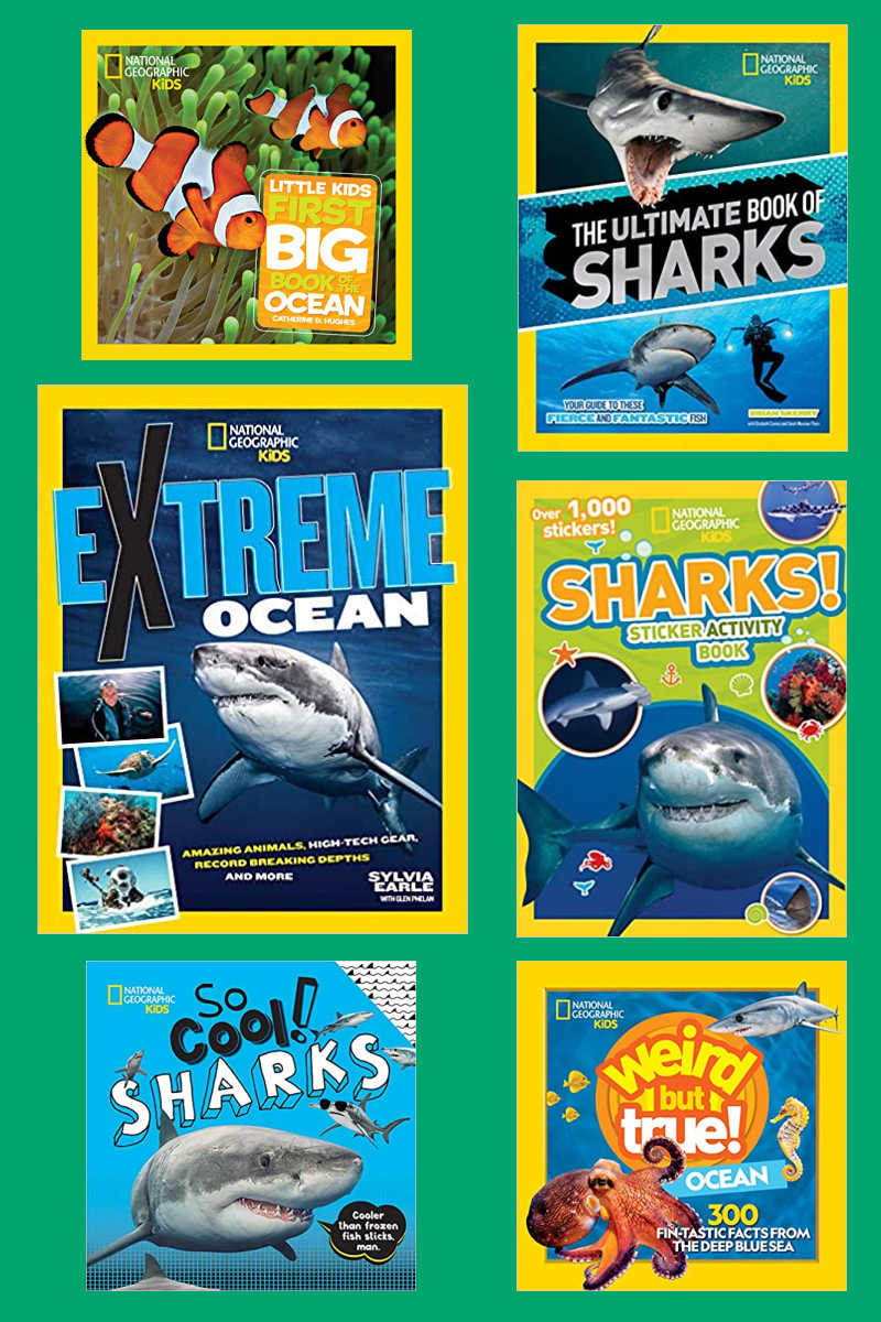 National Geographic Sharks Books for Shark Week Mama Likes This