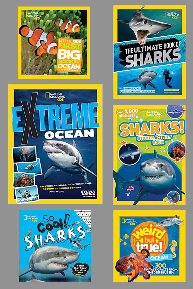 Shark Week is here, so your kids will love reading and interacting with beautifully illustrated National Geographic sharks books.
