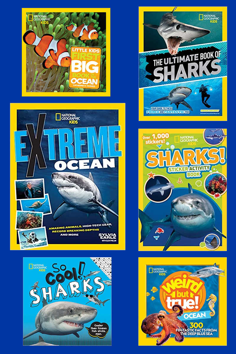 Shark Week is here, so your kids will love reading and interacting with beautifully illustrated National Geographic sharks books.