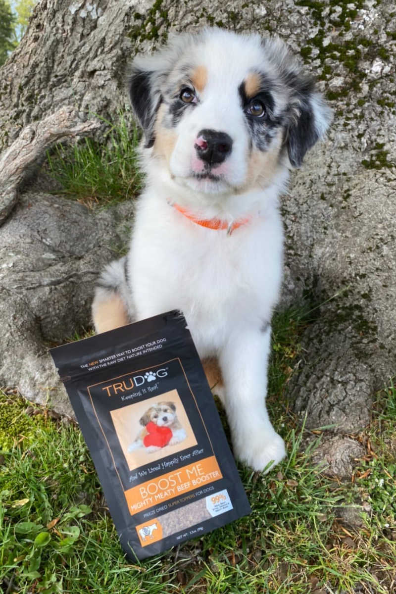 Ad: Add nutritious food toppers for dogs, when you want to boost your pet's protein and add other nutrients to their diet. 