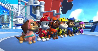 feature paw patrol video game