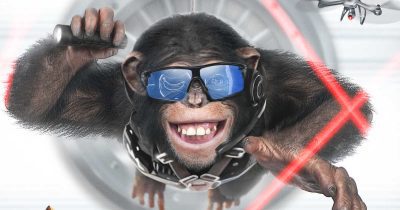 feature c i ape movie
