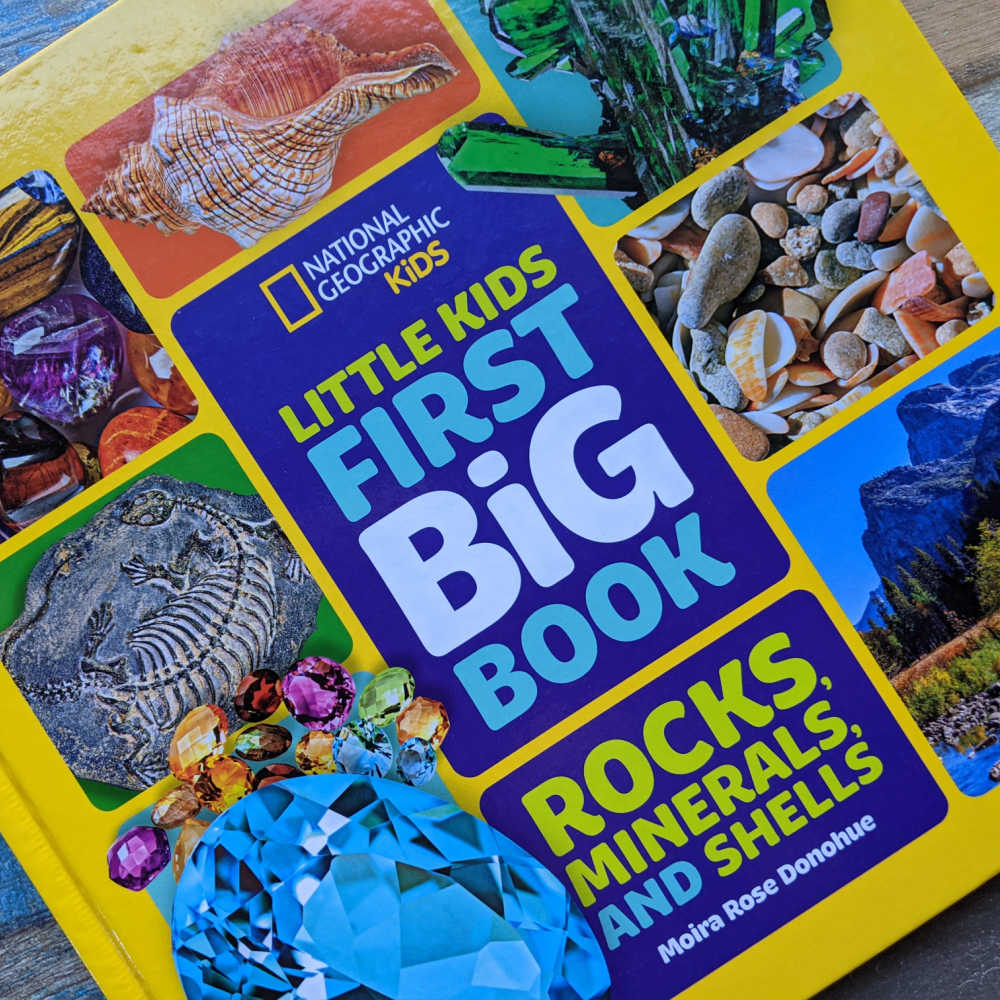 rocks minerals and shells book for kids 