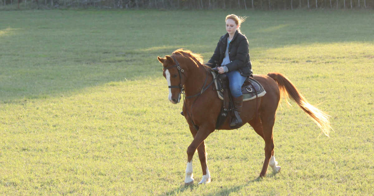 teenage girl riding bron horse on field