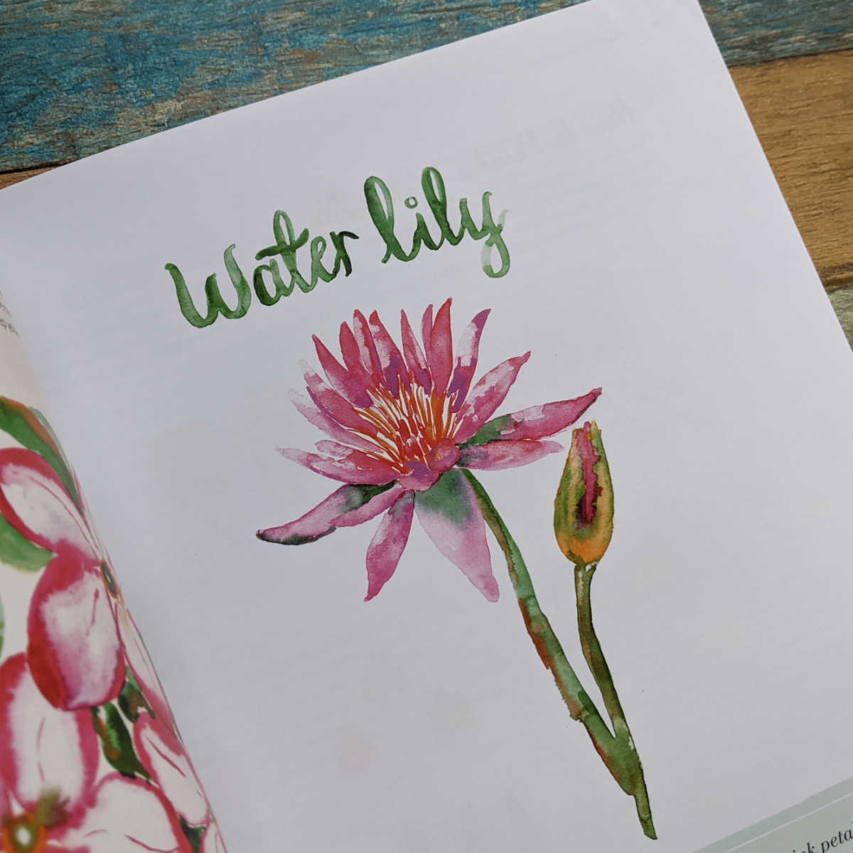water lily botanical watercolor painting book