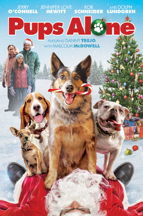 Watch the brand new Pups Alone holiday movie, so you can fill your home with laughter this Christmas season.