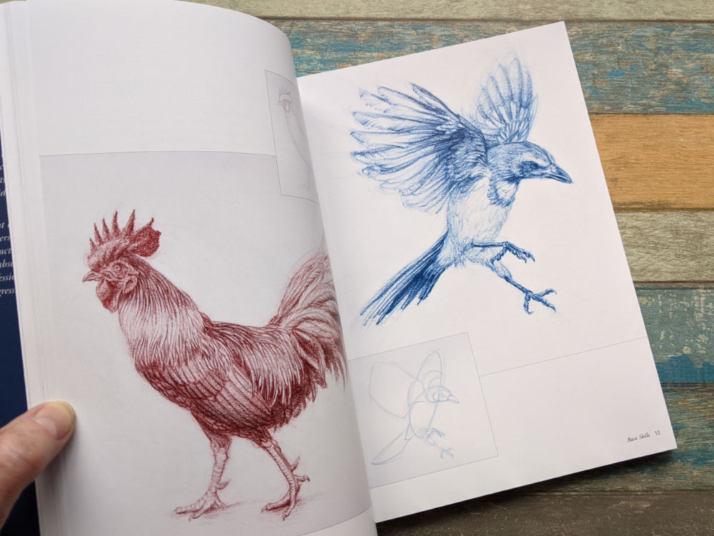 art book that teaches drawing