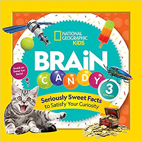 brain candy book