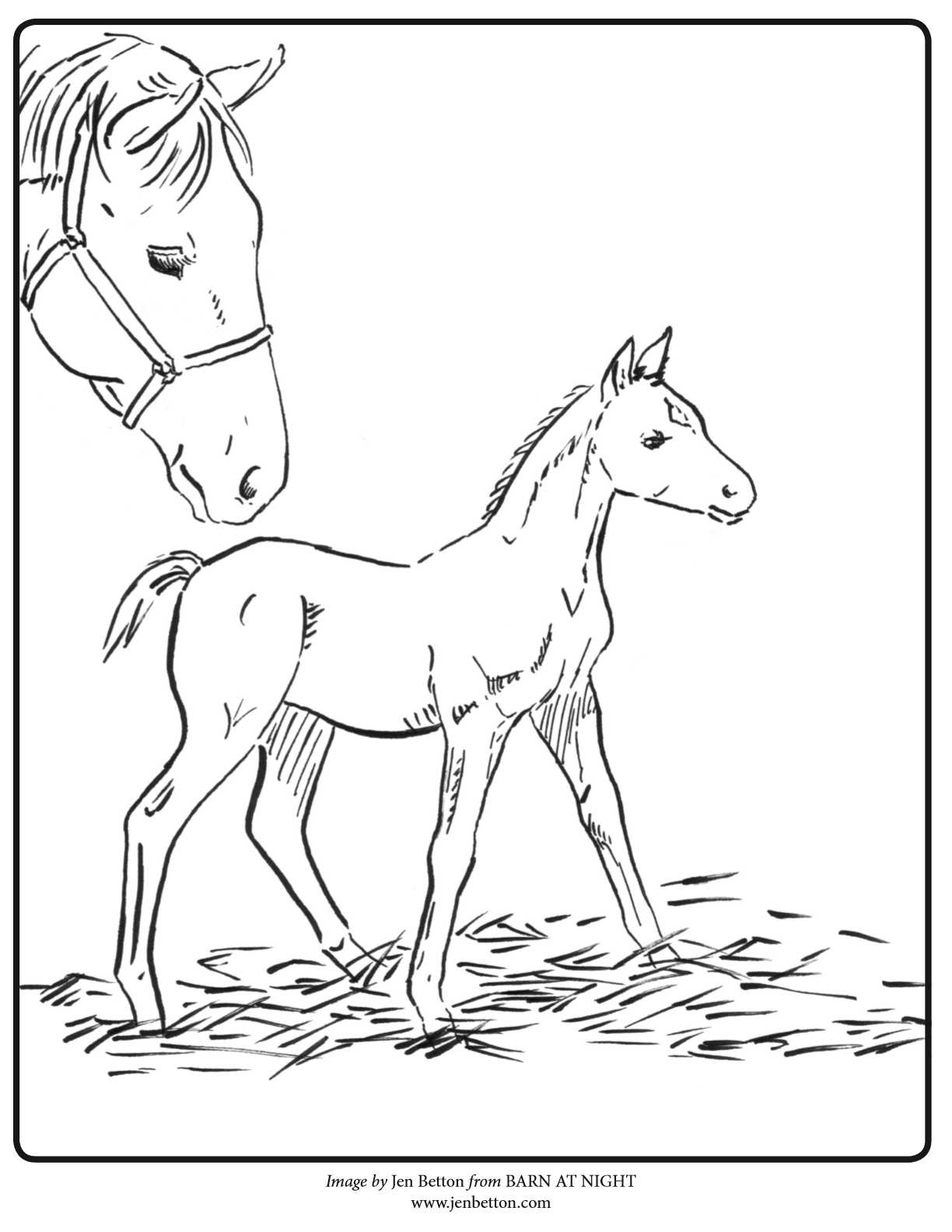 coloring page - horse mom and foal