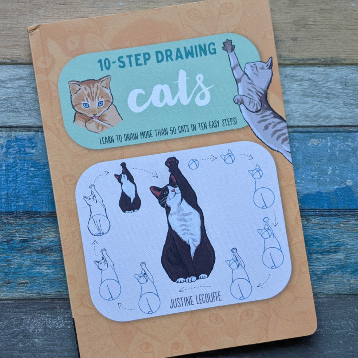 cat drawing book