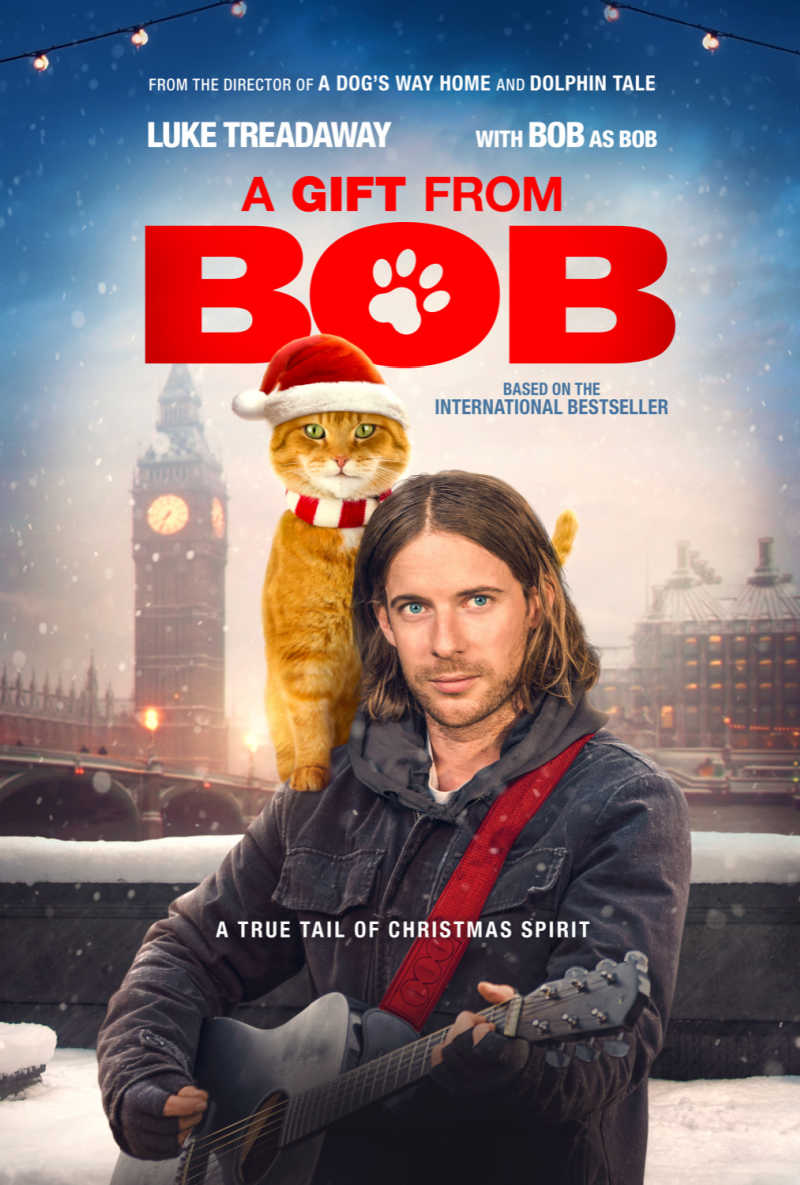 The holiday season is the perfect time for a heartwarming Christmas movie starring a cat, so be sure to watch A Gift from Bob. 