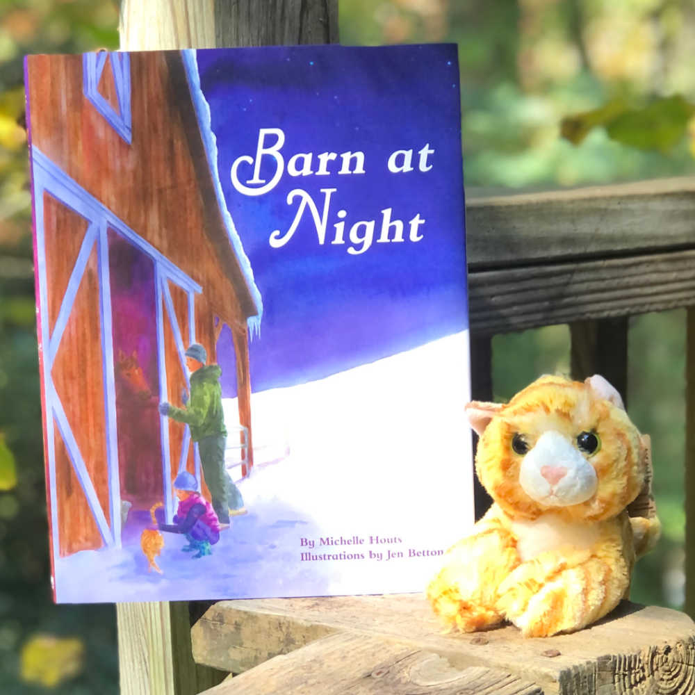 plush cat and barn at night book
