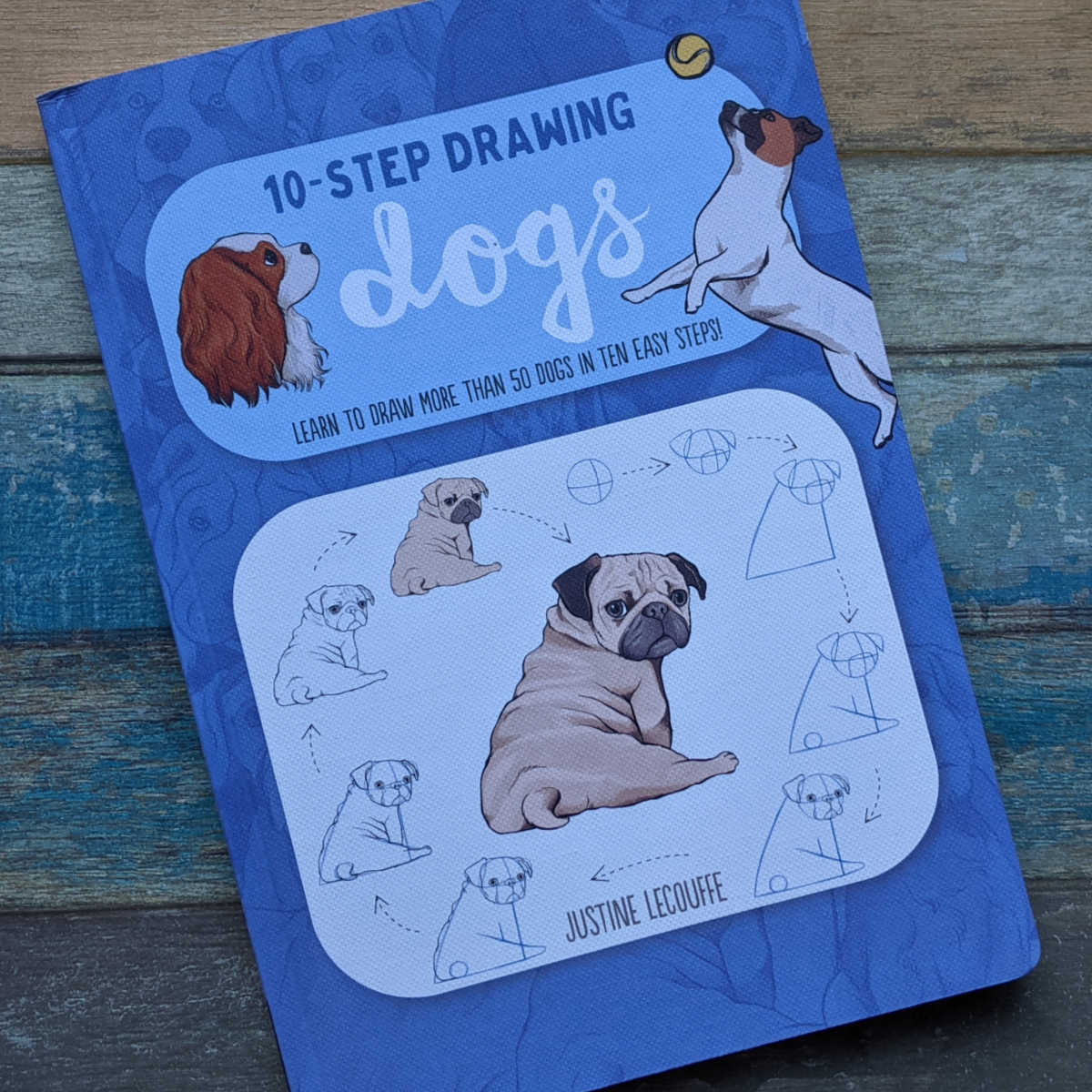 drawing dogs book
