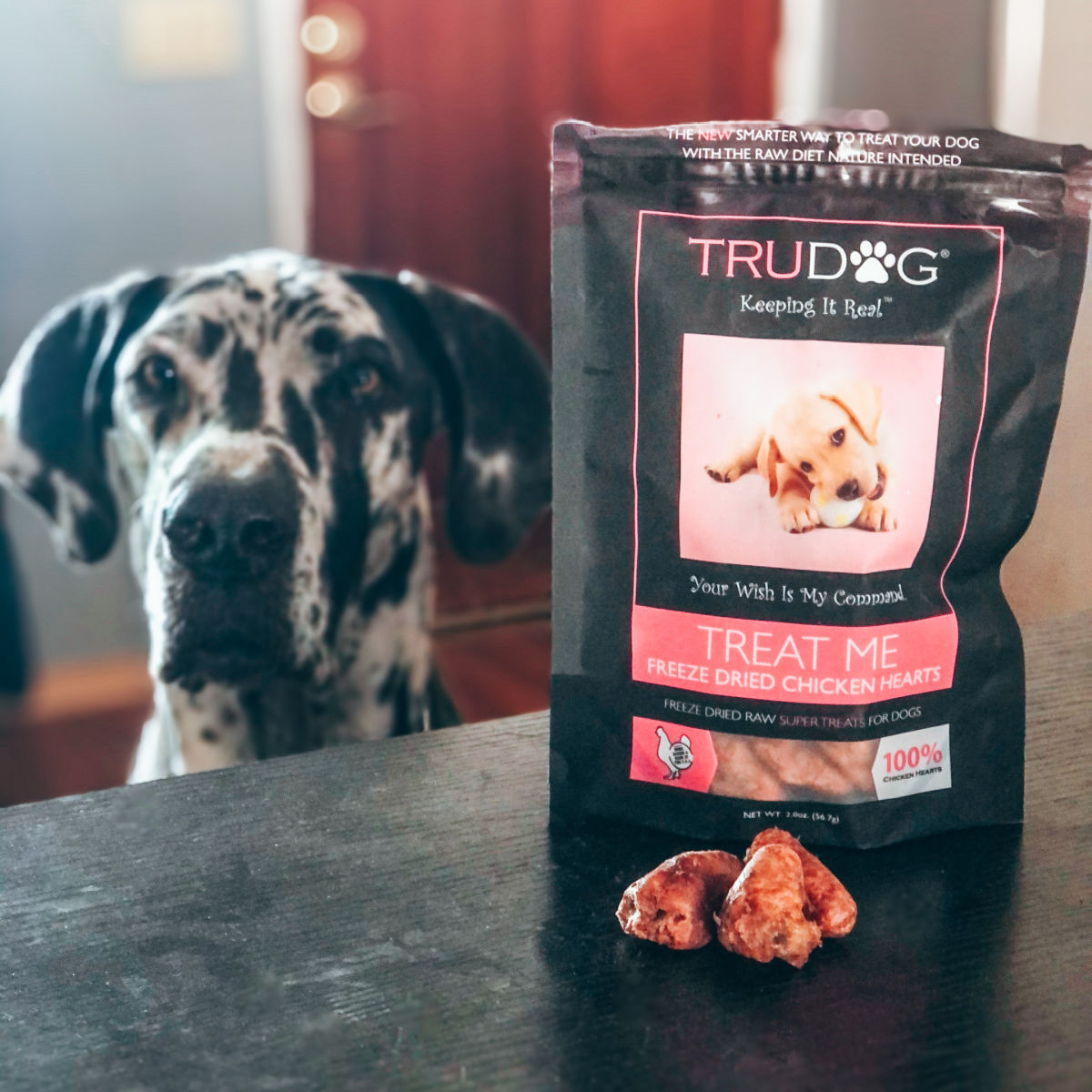 freeze dried raw dog food treats