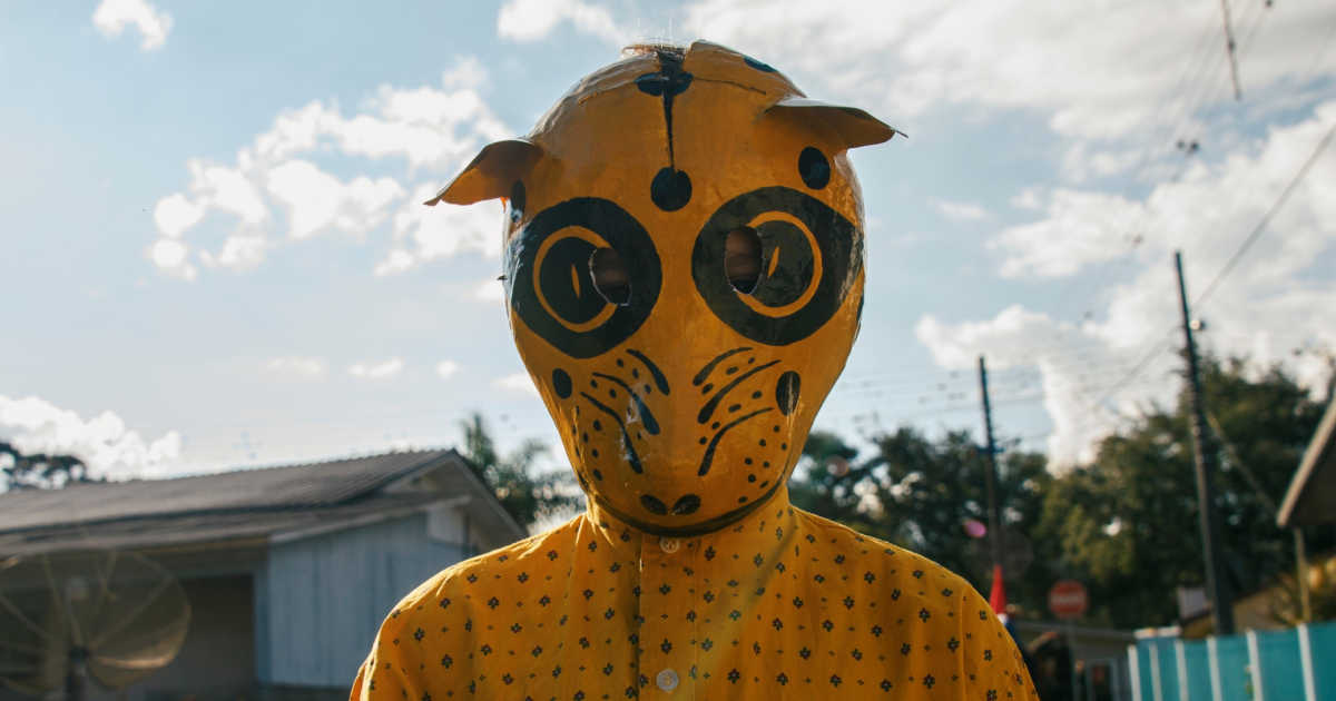 person in brazilian animal mask
