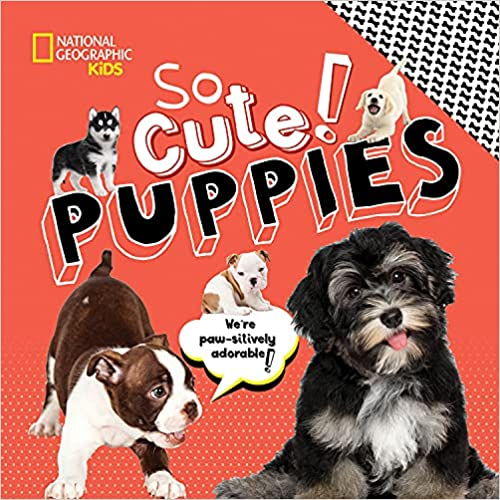 hardcover so cute puppies book