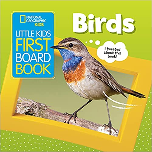 bird board book