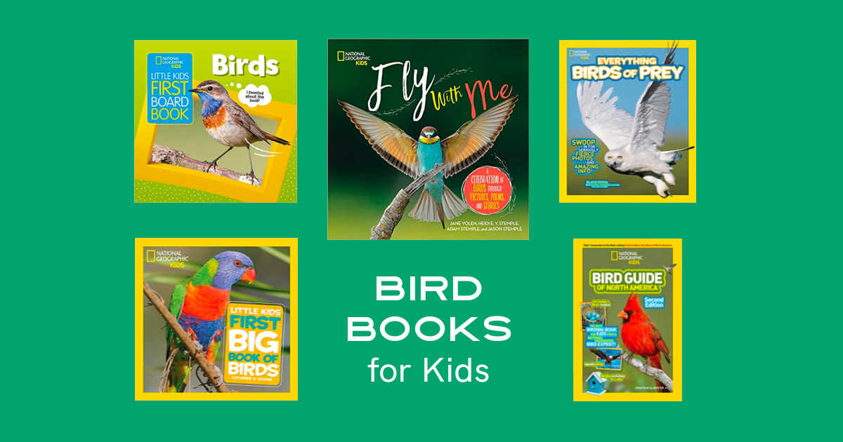 bird books for kids