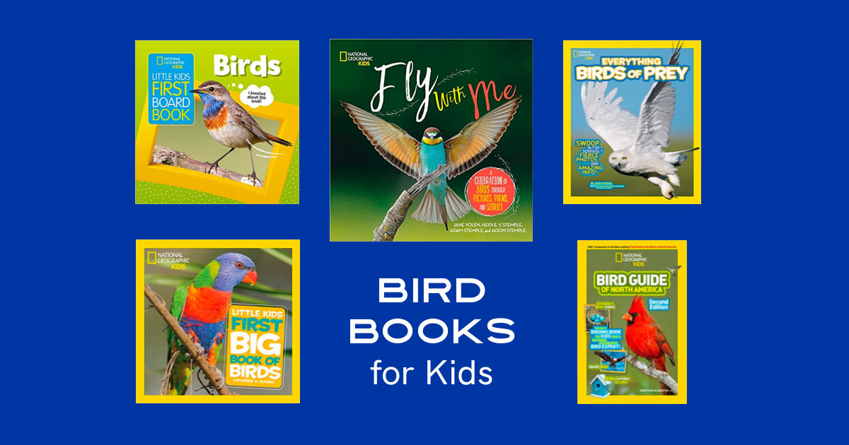 Bird Books for Kids