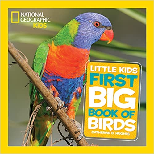 little kids first big book of birds