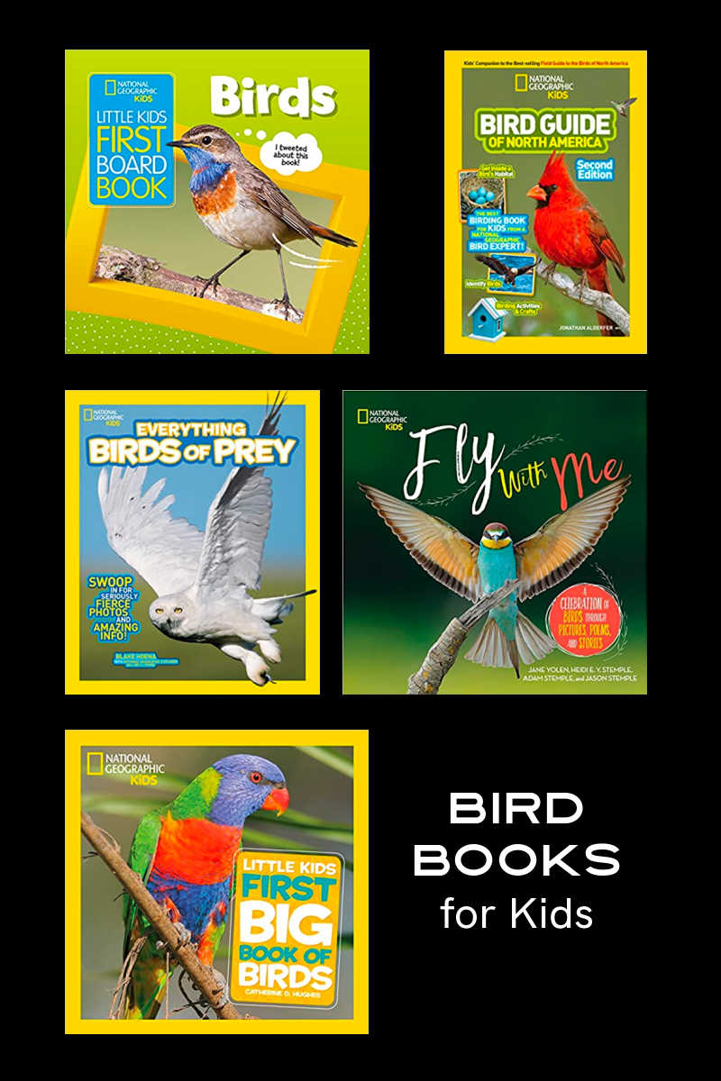 Your family will be inspired, when you get them these beautiful and informative bird books for kids from National Geographic. 