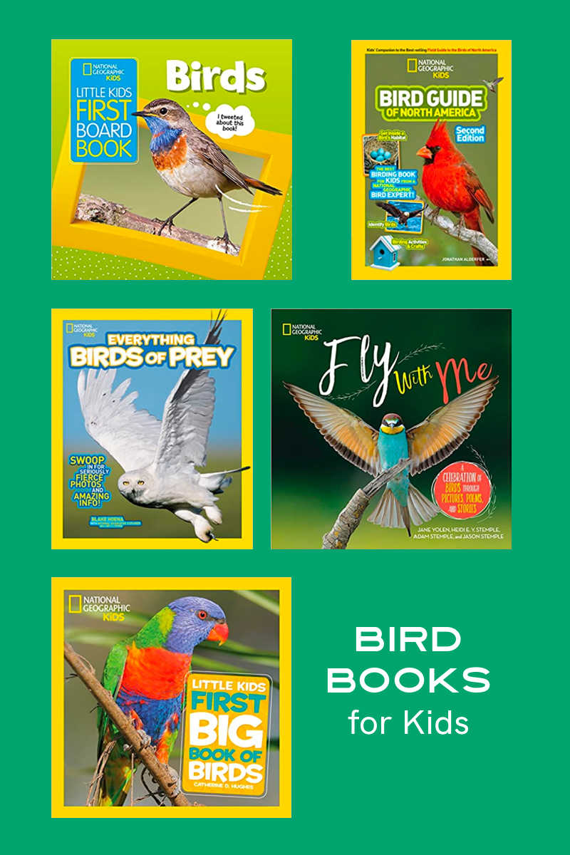 National Geographic Bird Books for Kids - Mama Likes This