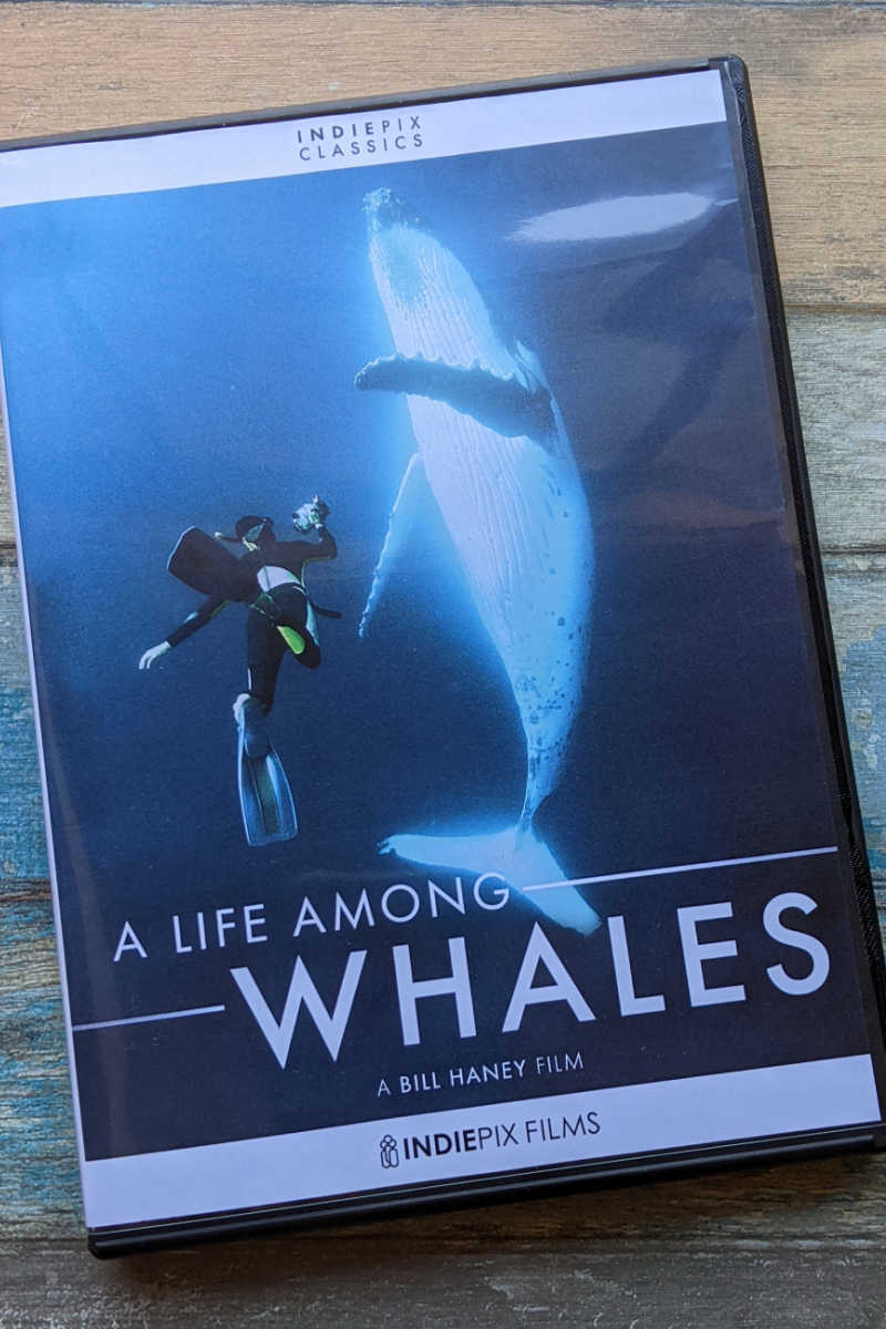 Watch A Life Among Whales, so you can learn about these amazing creatures and a man who has spent his life studying them, Bill Haney.