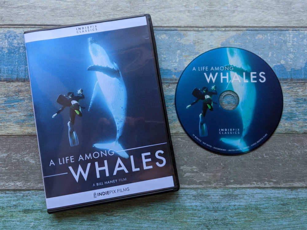 life among whales dvd
