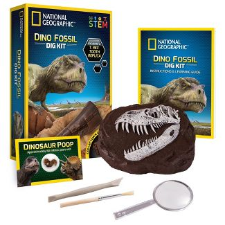 Dino Fossil Dig Kit