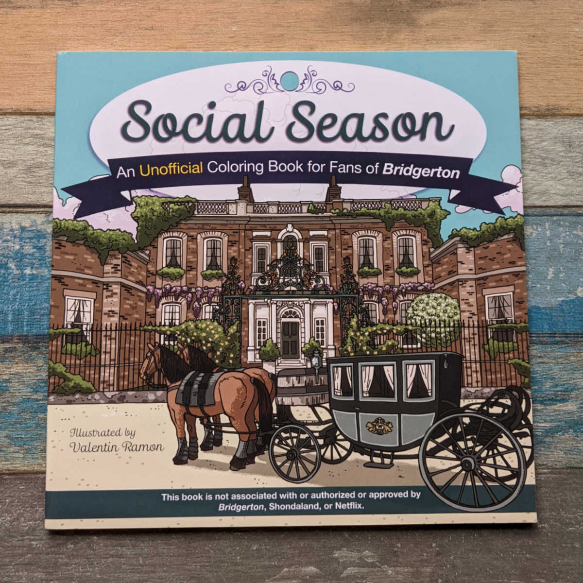 Fans of the Netflix series will love Social Season, the unofficial Bridgerton coloring book with pictures inspired by the hit show. 