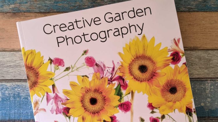 feature creative garden photography