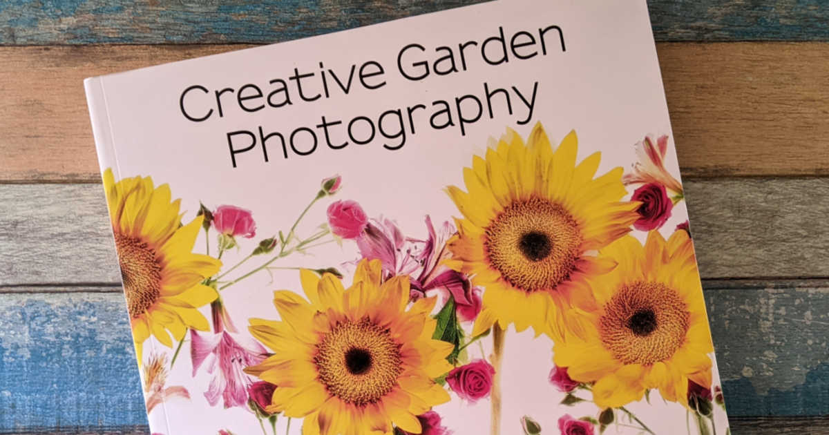 feature creative garden photography