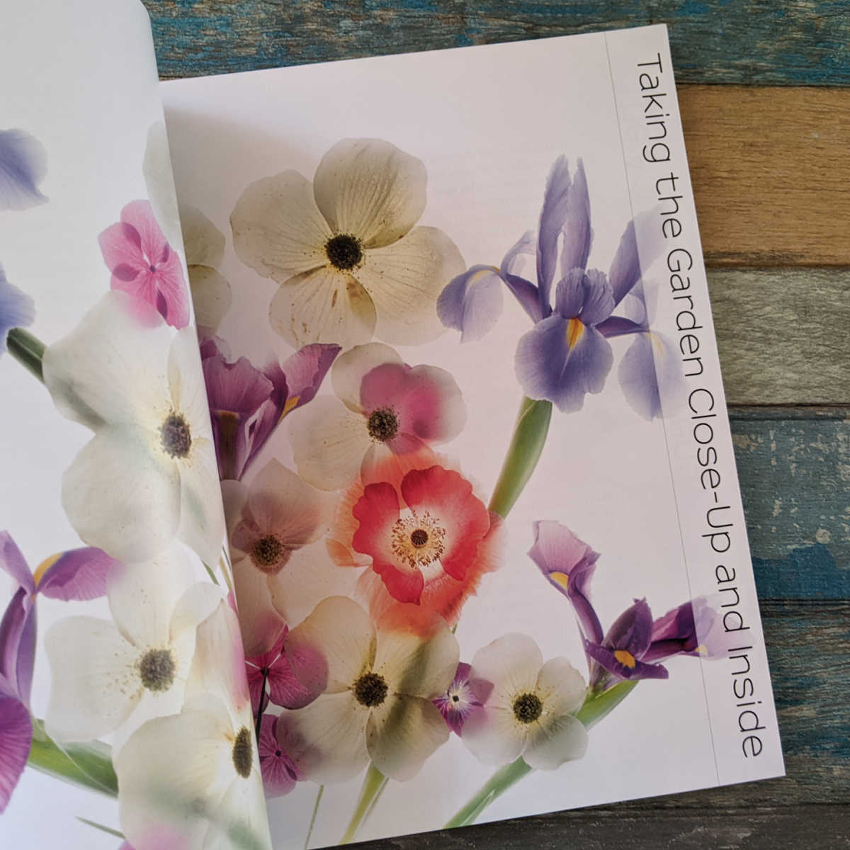 flower photography book