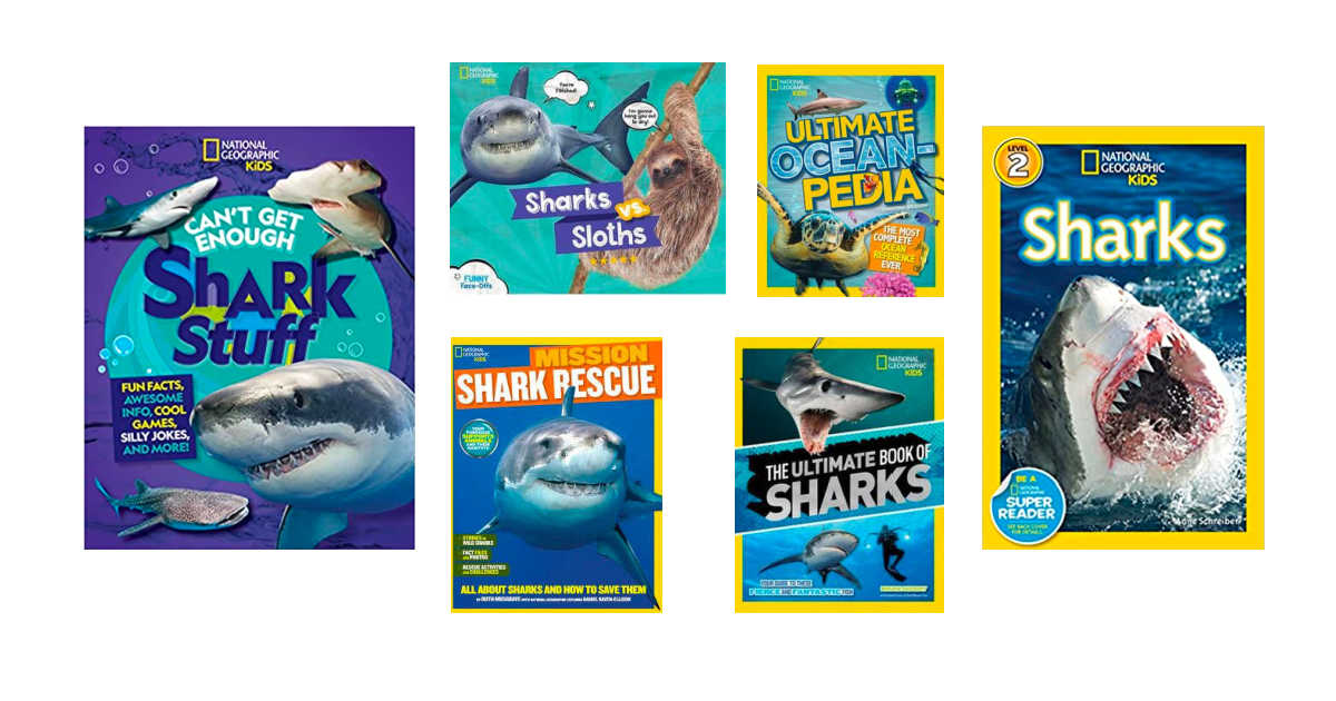 6 childrens shark books