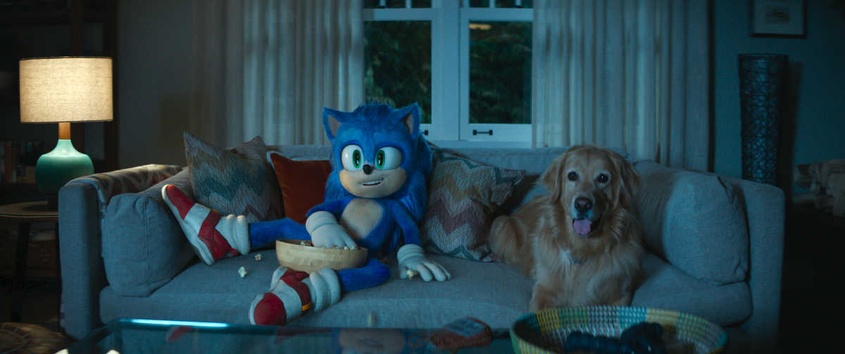 sonic and dog on sofa