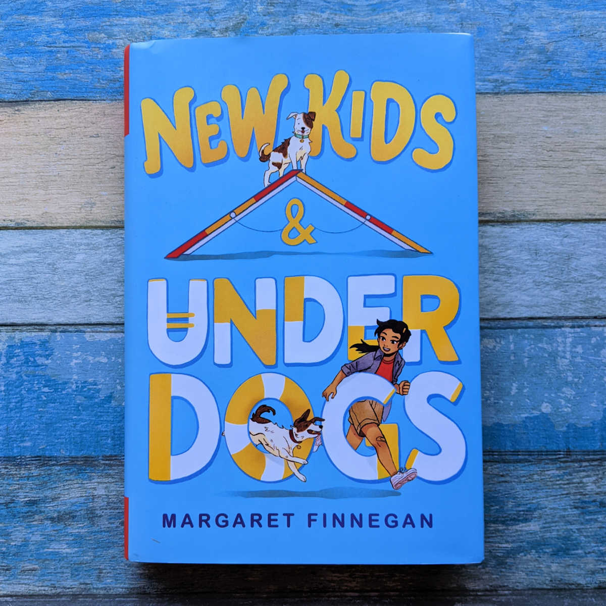 chapter book new kids and underdogs