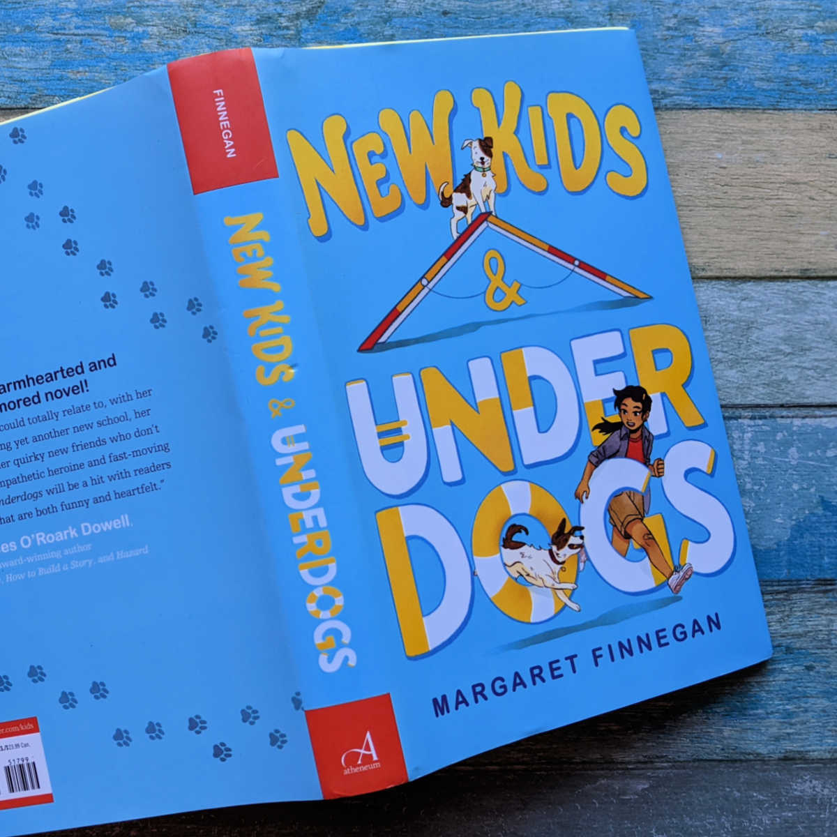 finnegan new kids underdogs book