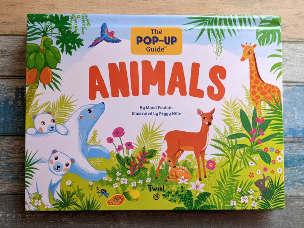 pop up animals book