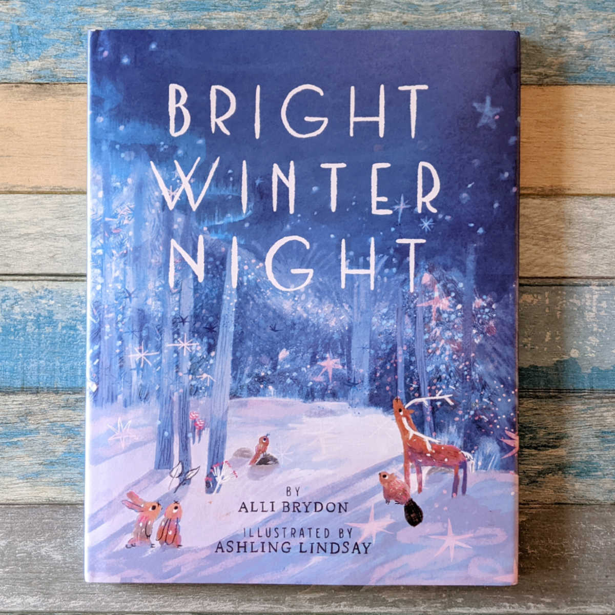 bright winter night book
