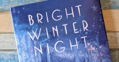 feature bright winter night