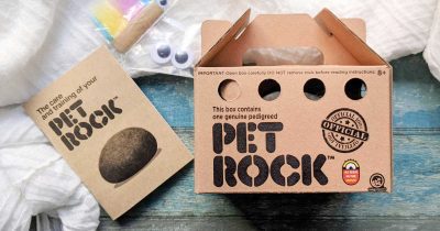 feature pet rock kit