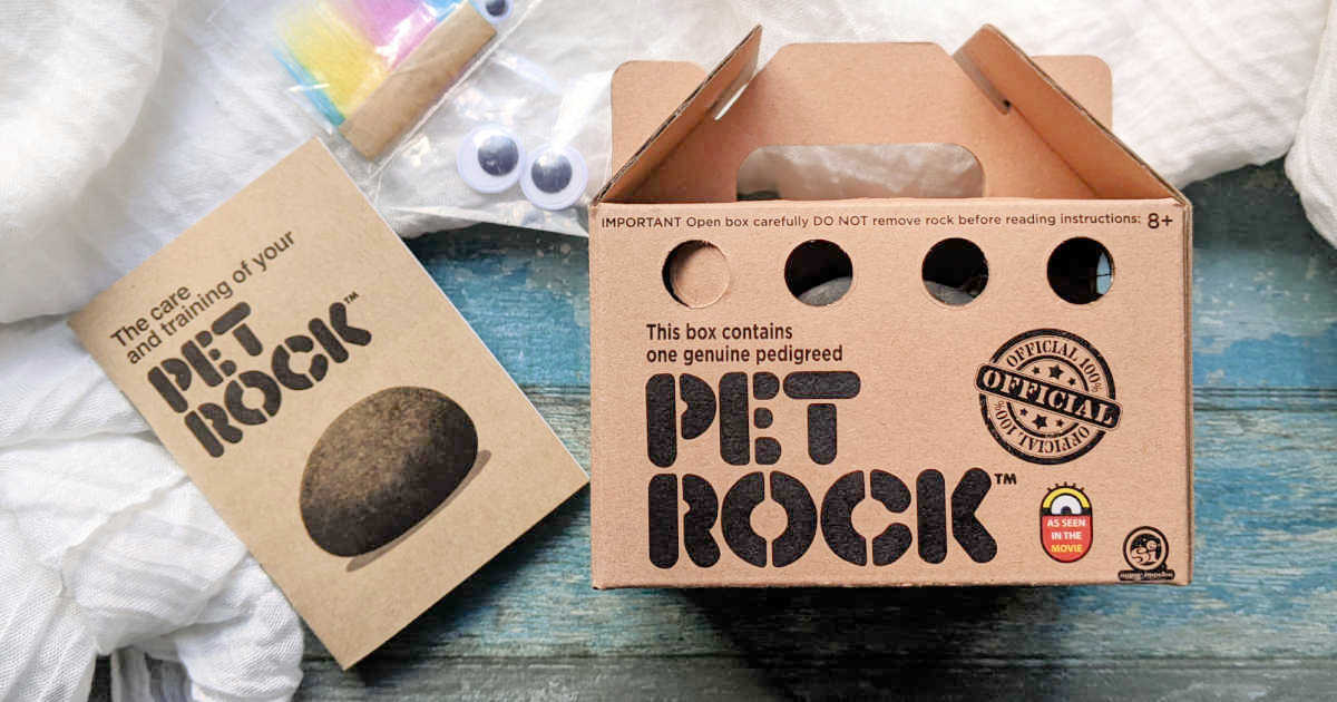 Pet Rock As Seen in The Minions Movie - Mama Likes This