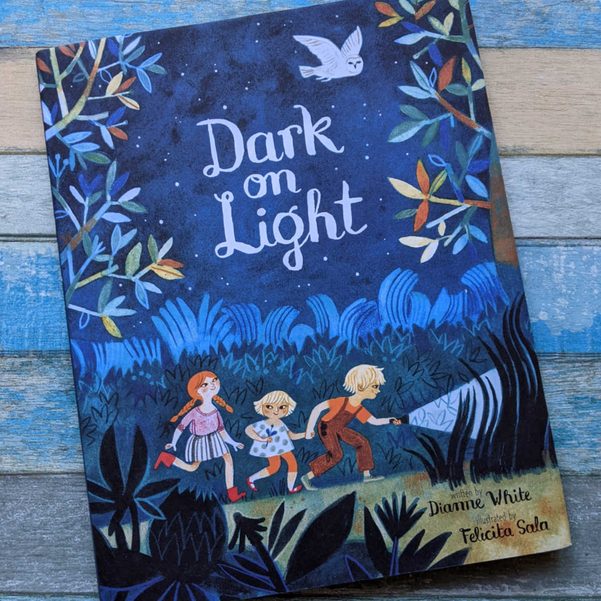 hardcover dark on light childrens book