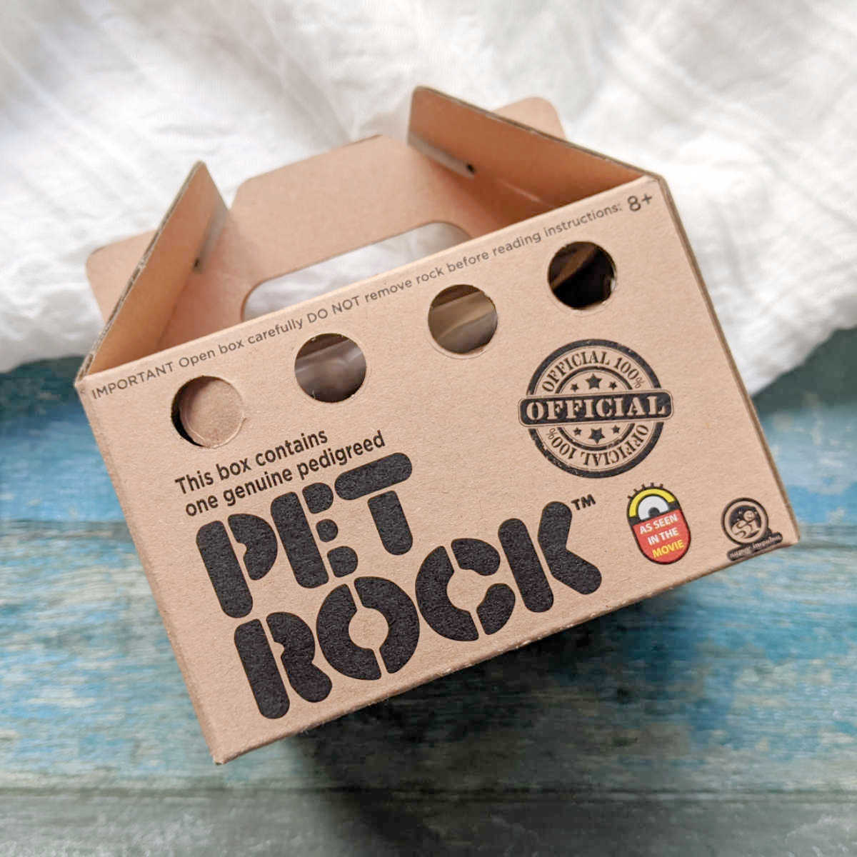 pet rock in box