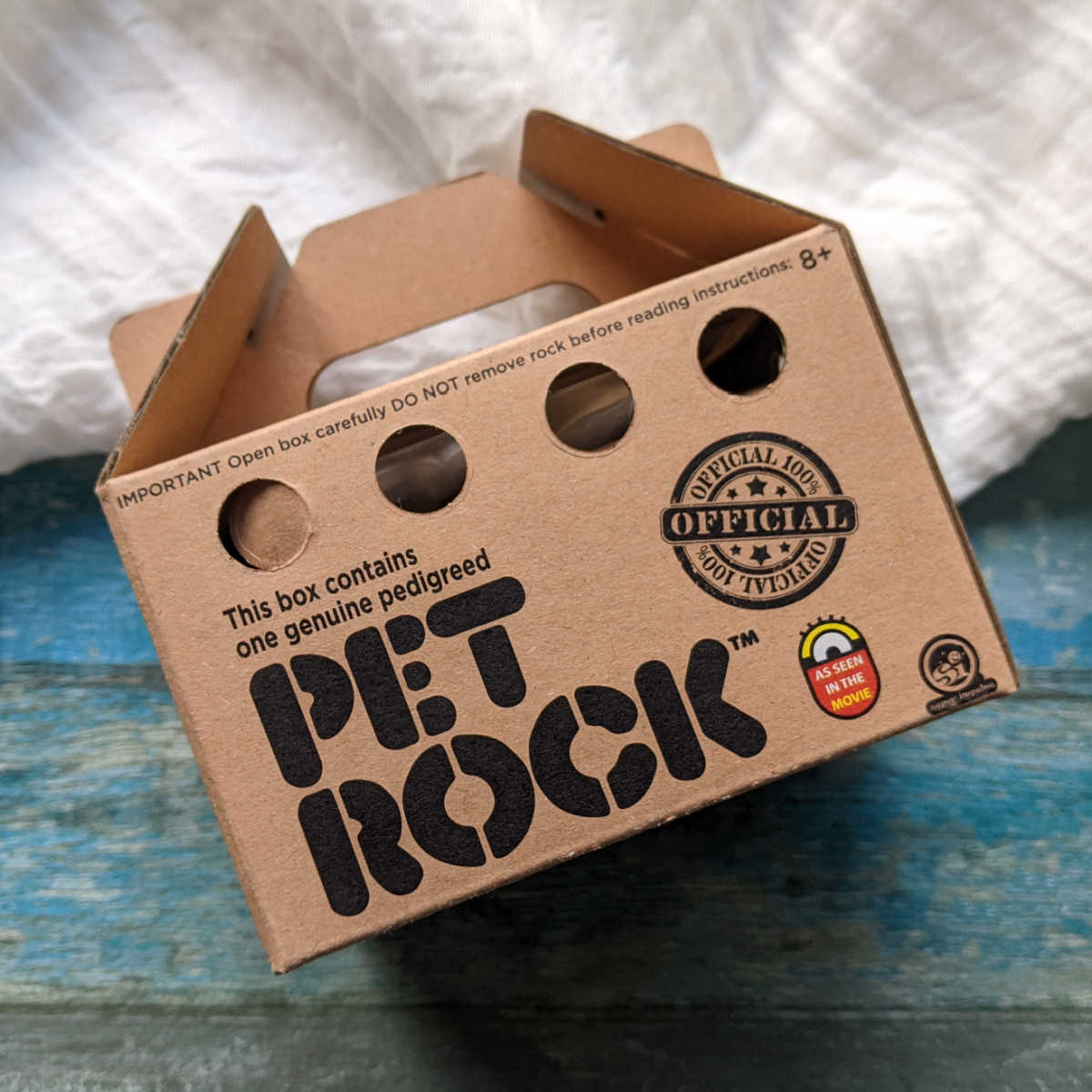 pet rock in box